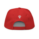 Bad News Donnie– Civil Heresy Protest Flat Bill Cap